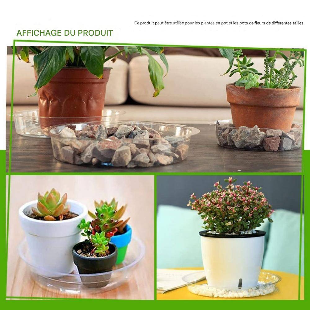 Lytech - Plateaux de Soutènement Transparents 15 cm - Lot de 10 - Antidérapants et Étanches pour Pots de Plantes - Lytech - Image 6