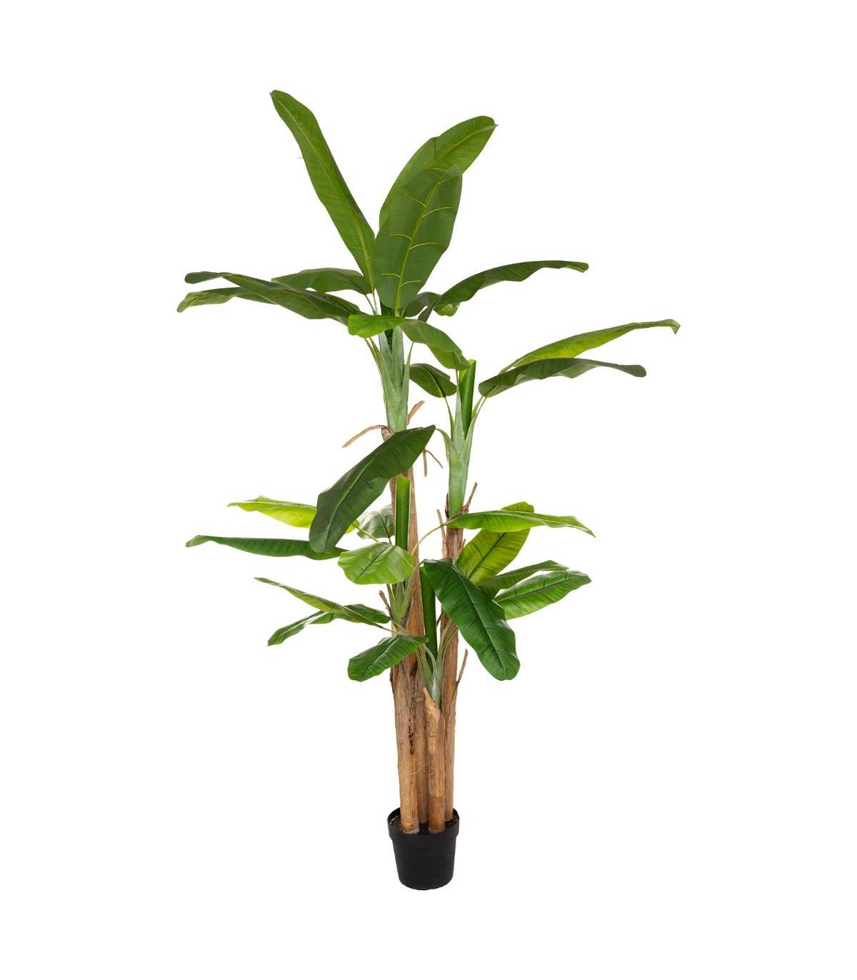 Grand Bananier artificiel en Pot H 285 cm - Image 1