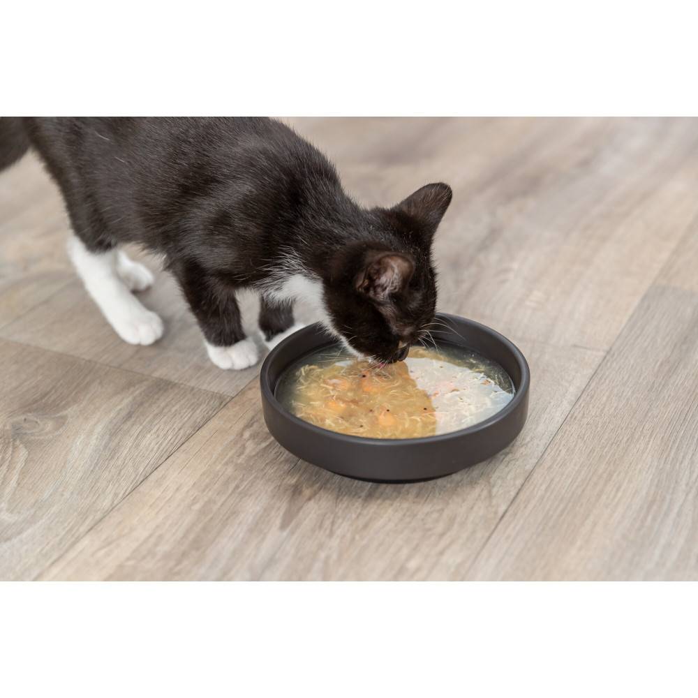 Trixie - Trixie - Soupe au poulet et au saumon 80 g pour chat - Image 2