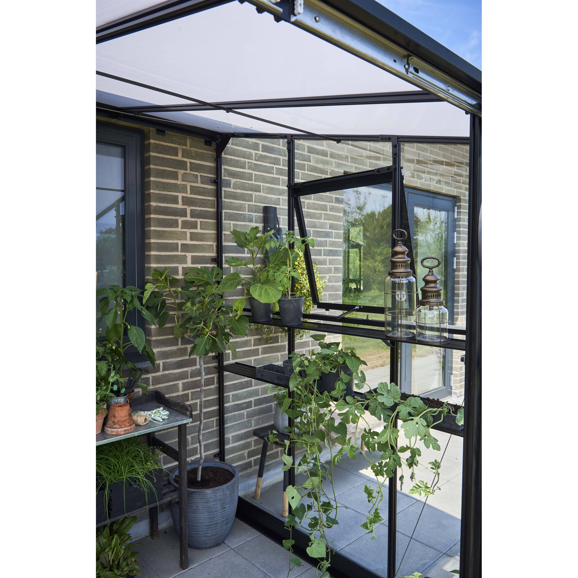 Halls - Serre en verre trempé 4,7 m², noir - Qube Lean-to 68, Halls - Image 5