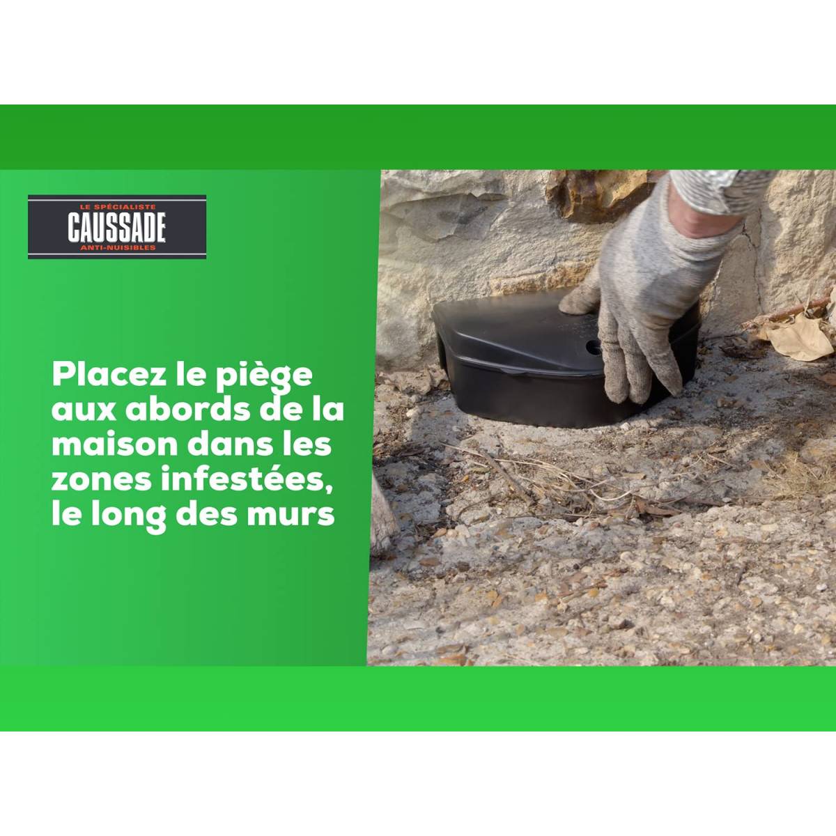 Multitanks - Lot de 2 Raticide Canadien Caussade - 600 g, 24 blocs - Flocoumafène - Image 6
