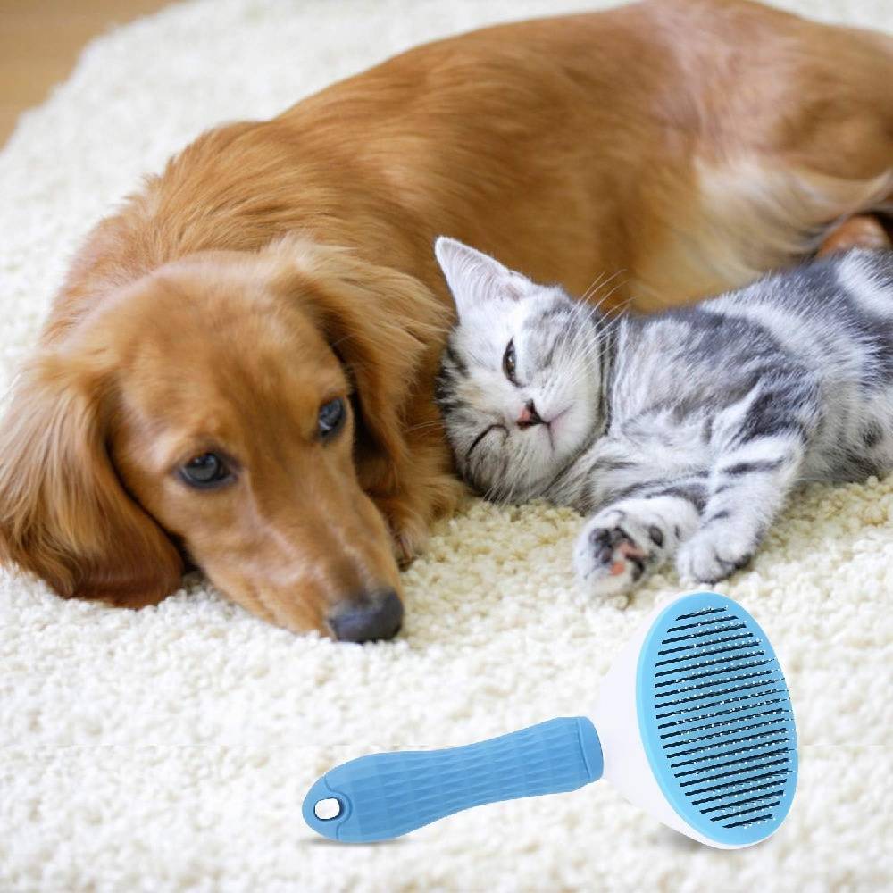 Brosse à Toilettage Auto-Nettoyante pour Animaux -IntiMeg - Image 4