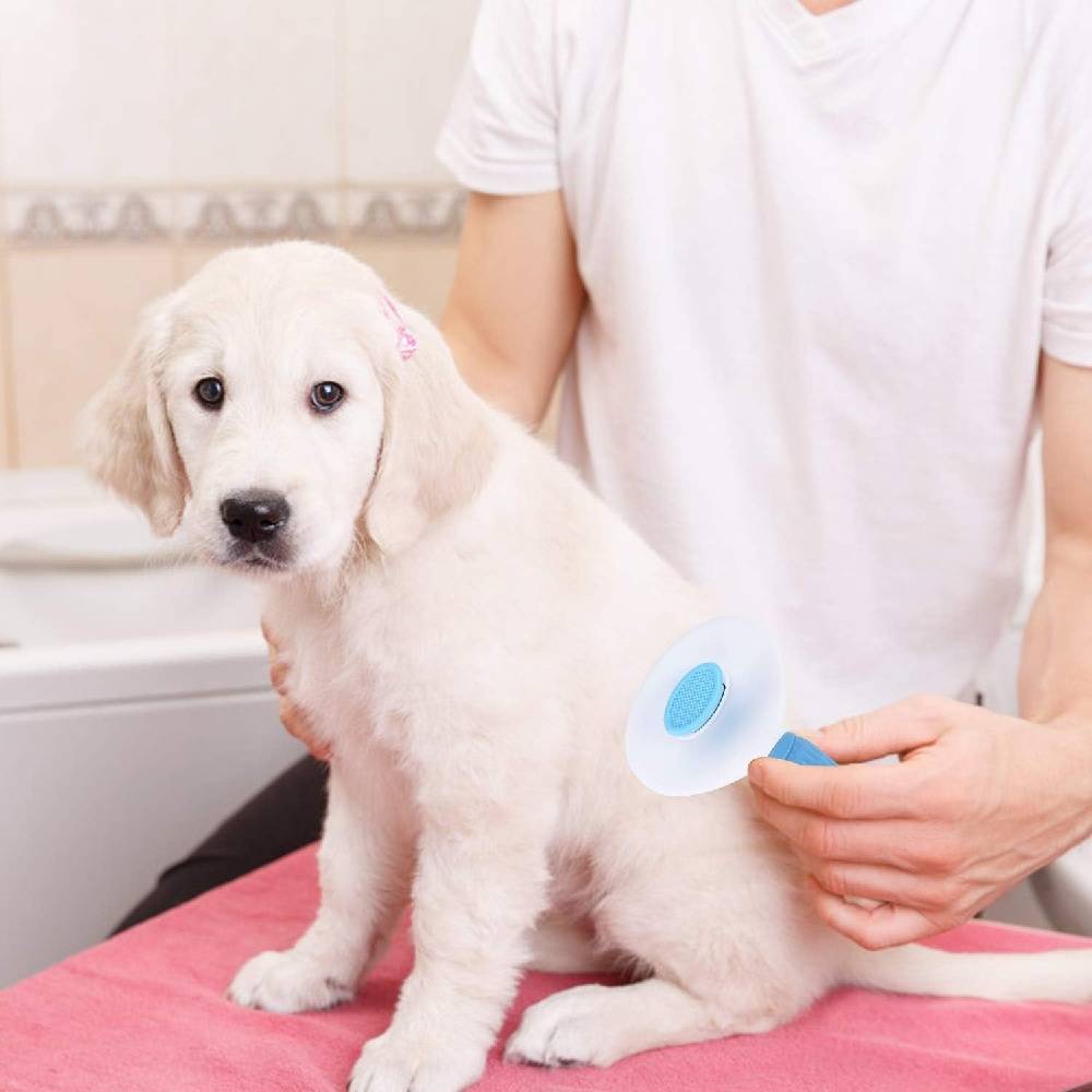 Brosse à Toilettage Auto-Nettoyante pour Animaux -IntiMeg - Image 5