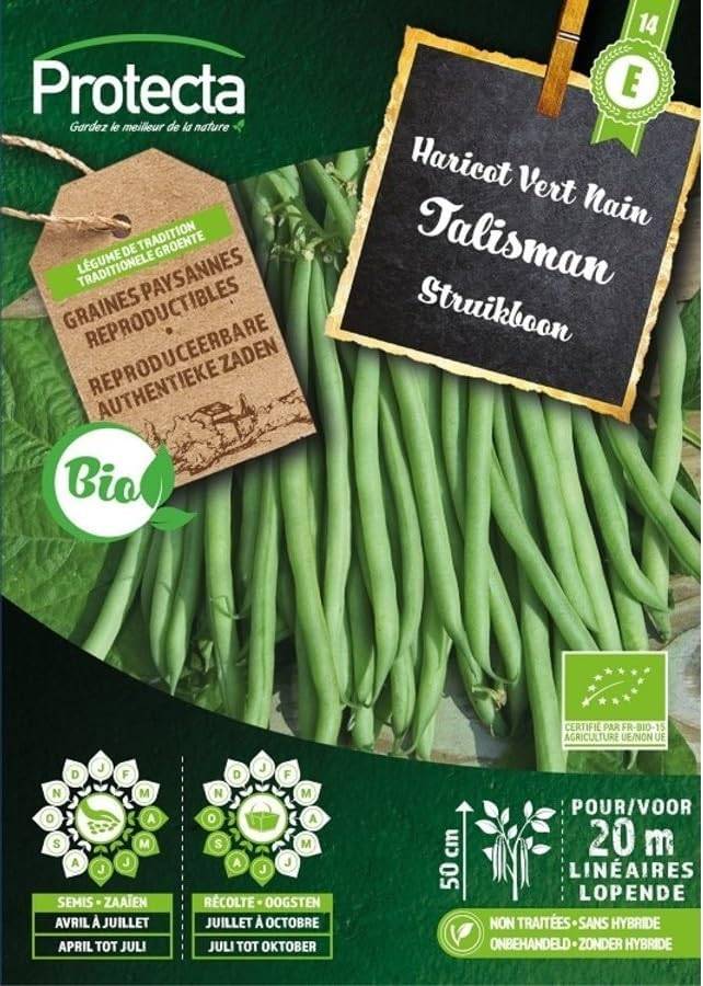 Protecta - Semence Haricot Vert Nain Talisman BIO