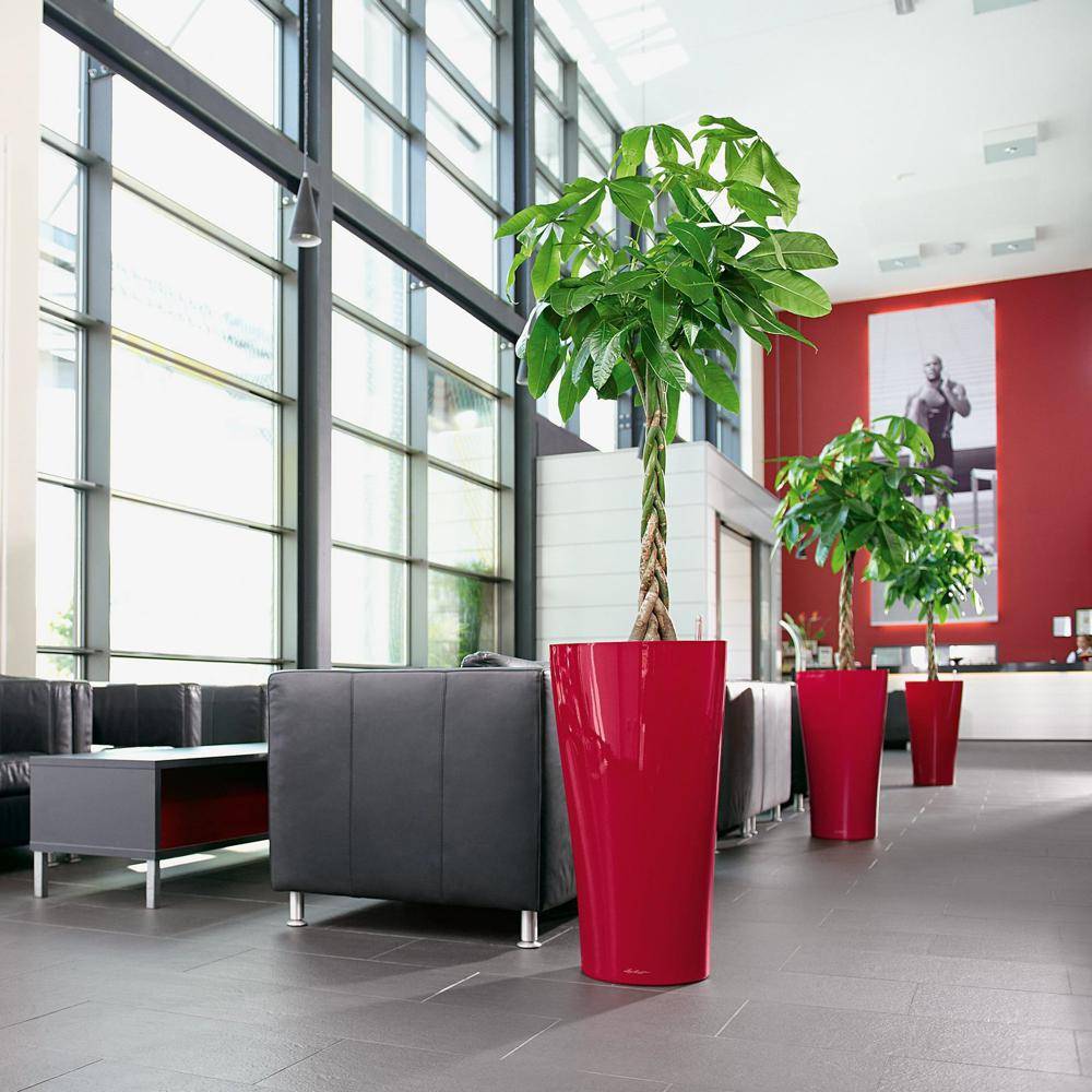 Lechuza - Delta Premium 40 - kit complet, rouge scarlet brillant 75 cm Lechuza - Image 3