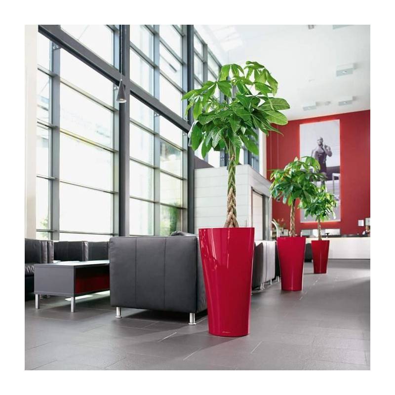 Lechuza - Delta Premium 40 - kit complet, rouge scarlet brillant 75 cm Lechuza - Image 5