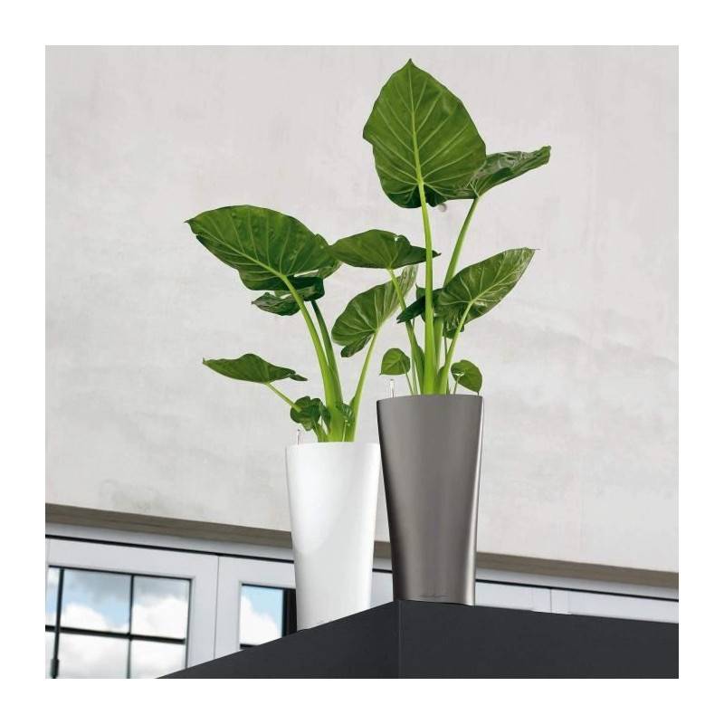 Lechuza - Delta Premium 40 - kit complet, rouge scarlet brillant 75 cm Lechuza - Image 4