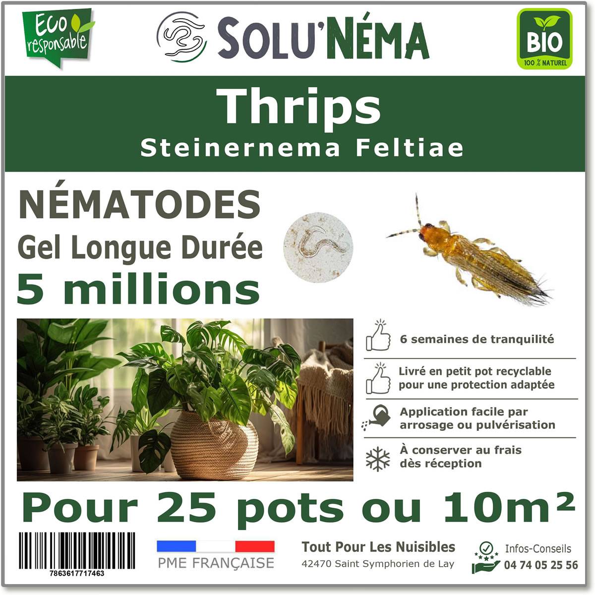 Tout pour les nuisibles - Solunéma - Thrips - Traitement à base de nématodes Steinernema Feltiae (SF) - 5 millions pour traiter 25 pots ou 10 m² - Image 1