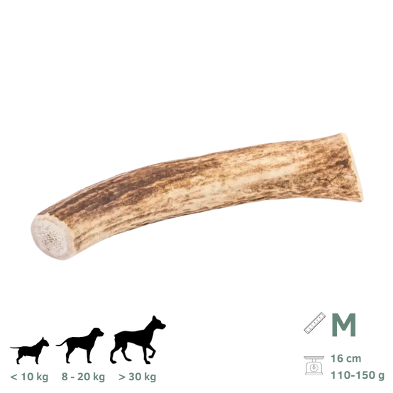 Bois de Cerf pour Chien M 110-150g - Image 1
