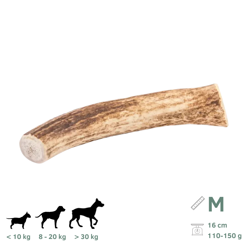 Bois de Cerf pour Chien M 110-150g - Image 1