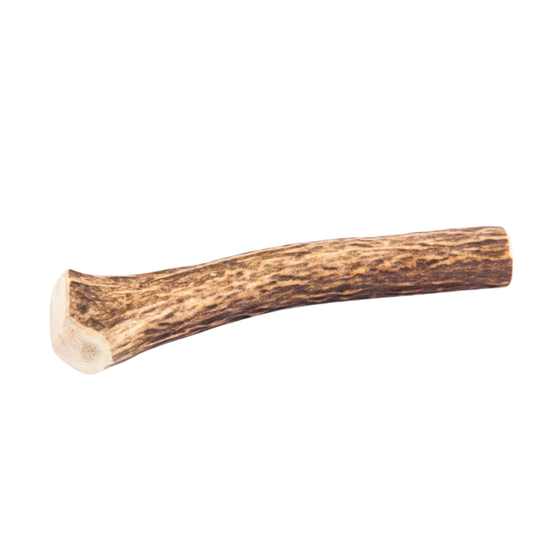 Bois de Cerf pour Chien M 110-150g - Image 2