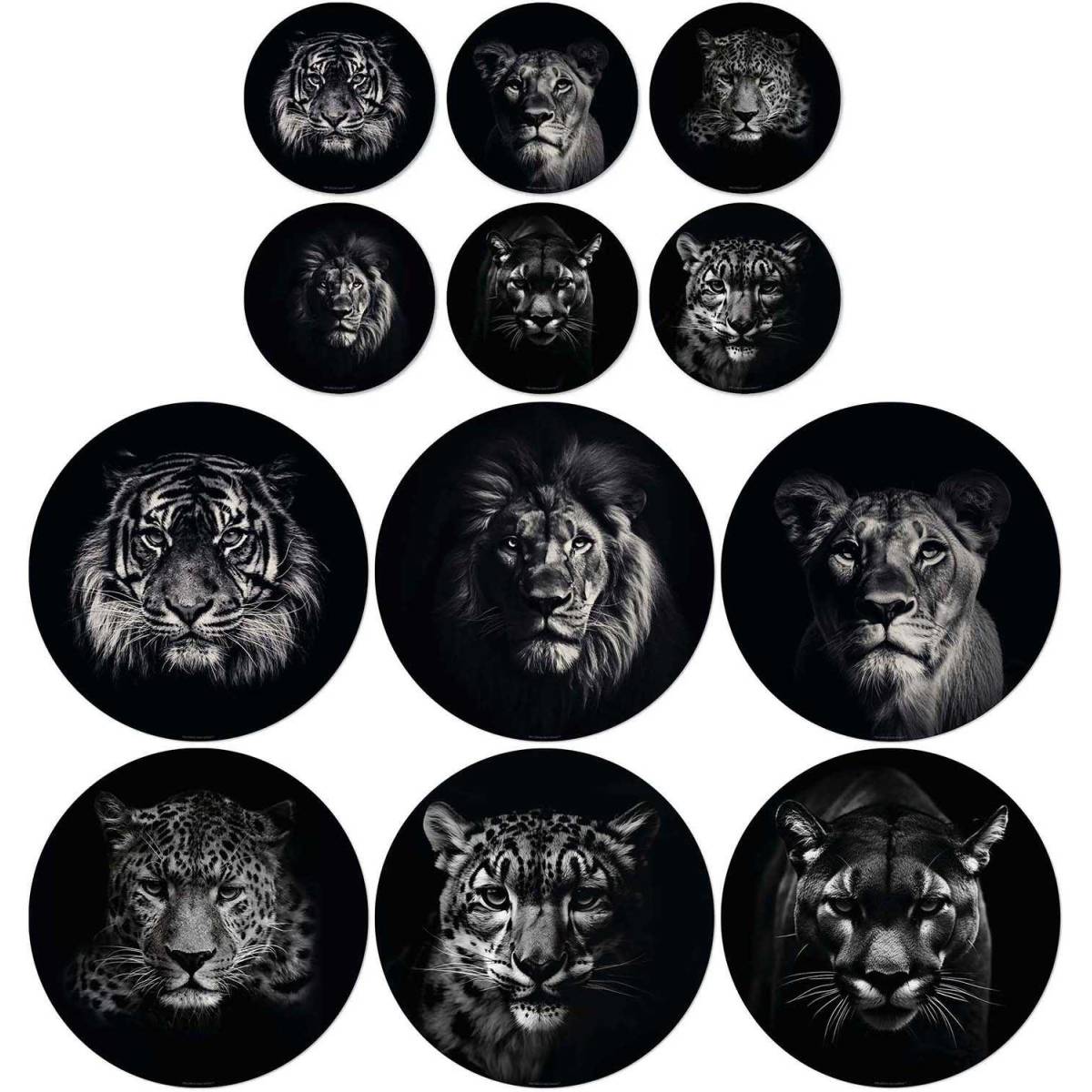 Lot de 6 sets de table et de 6 dessous de verre motifs assortis - Image 1