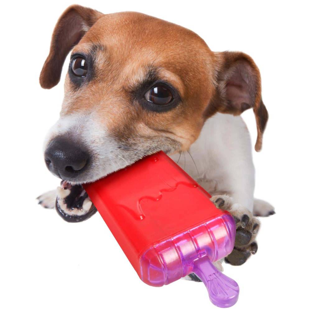 Flamingo - Flamingo - Jouet rafraîchissant LOLLY en TPR 16 cm pour chien - Image 3