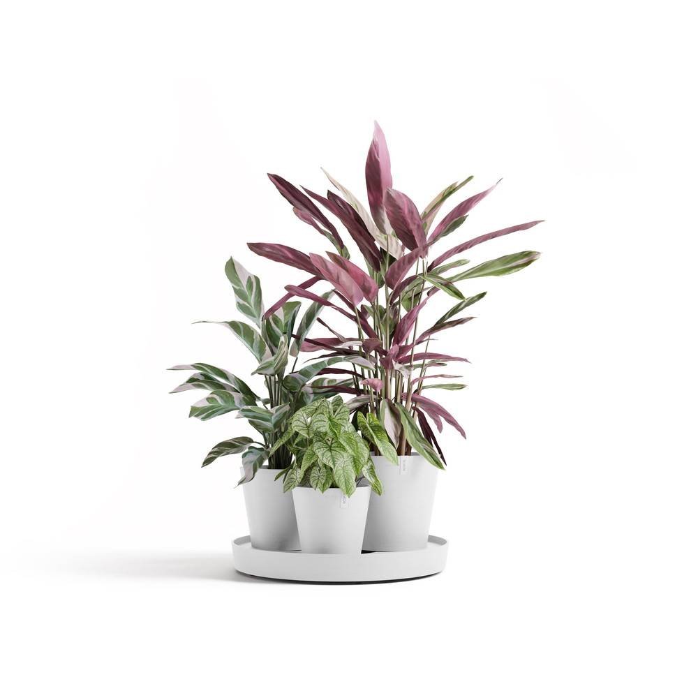 Ecopots - Ensemble de 3 pots Dubai Blanc Pur - Ø 57 x H. 30 cm - support à roulettes ECOPOTS - Image 2