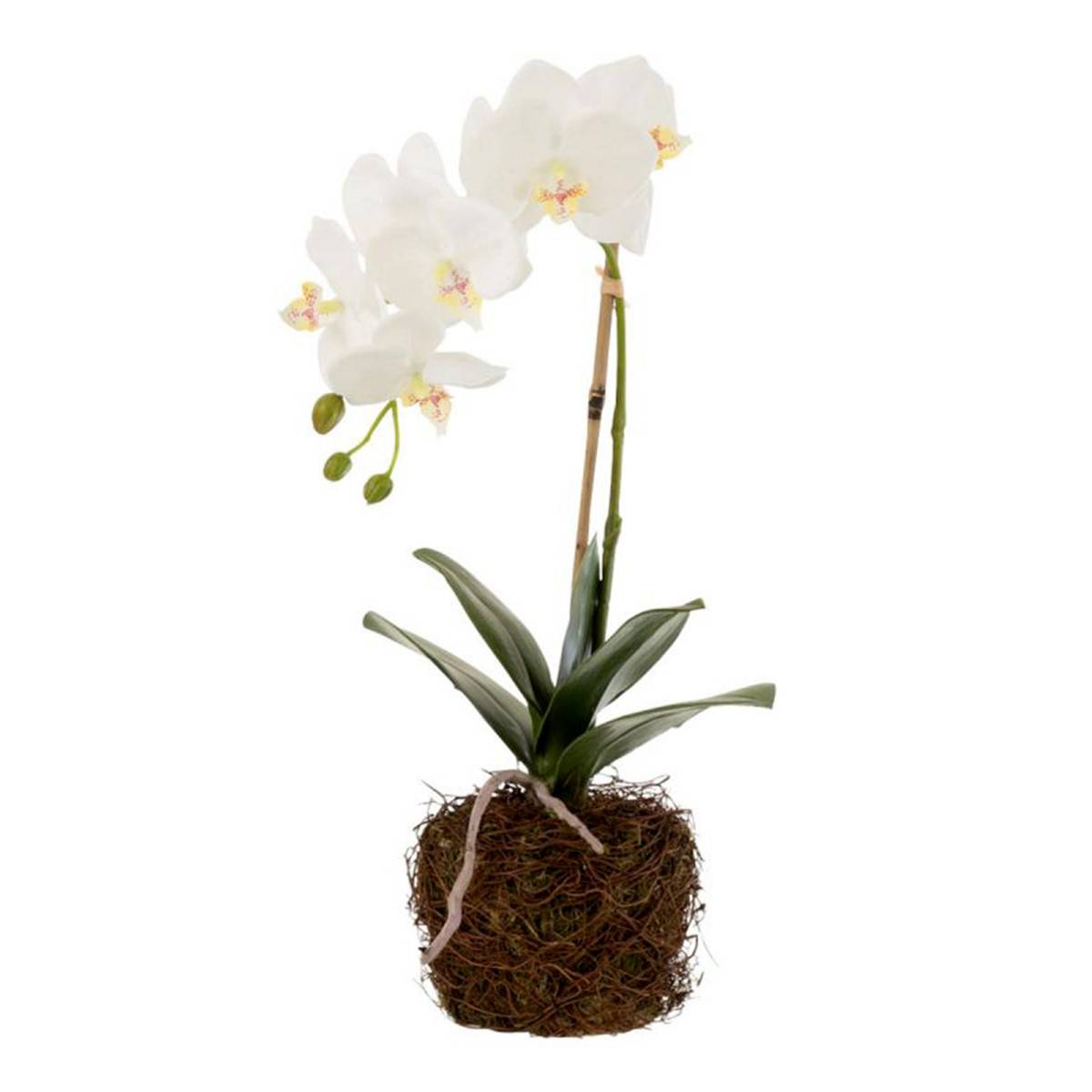 J-Line - Fleur Artificielle Déco "Orchidée en Terre" 40cm Blanc - Image 1