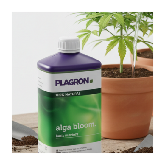 Engrais Alga BLOOM floraison 500ml - PLAGRON - Image 4