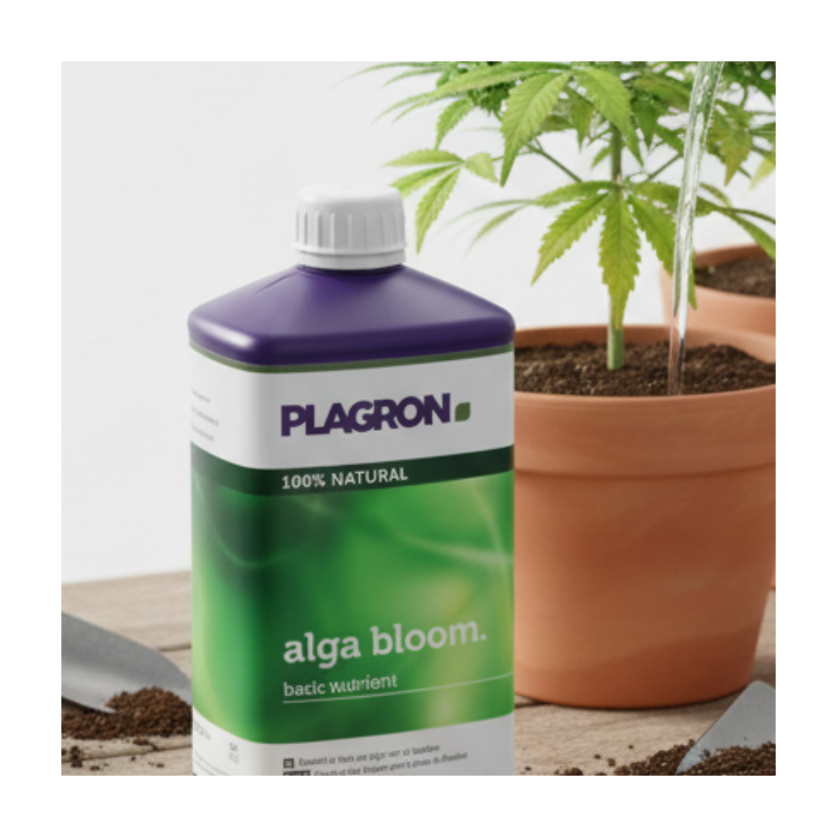 Engrais Alga BLOOM floraison 500ml - PLAGRON - Image 4