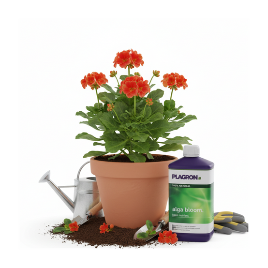 Engrais Alga BLOOM floraison 500ml - PLAGRON - Image 3