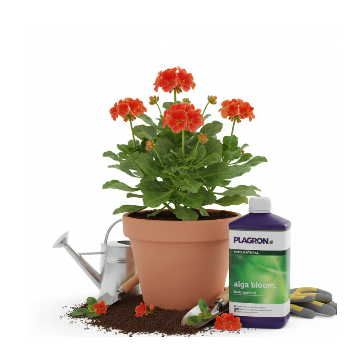 Engrais Alga BLOOM floraison 500ml - PLAGRON - Image 3