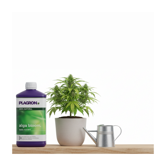 Engrais Alga BLOOM floraison 500ml - PLAGRON - Image 5