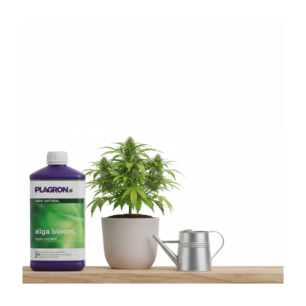Engrais Alga BLOOM floraison 500ml - PLAGRON - Image 5