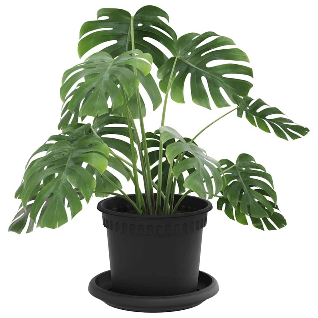 Vidaxl - Pots de plantes 6 pc Noir Plastique vidaXL 3403258 - Image 4