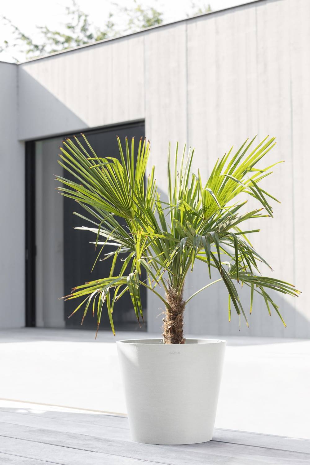 Ecopots - Pot Rond Amsterdam 40 Blanc Pur + réservoir d'eau - Ø 40 x H. 35 cm - 28 L ECOPOTS - Image 4