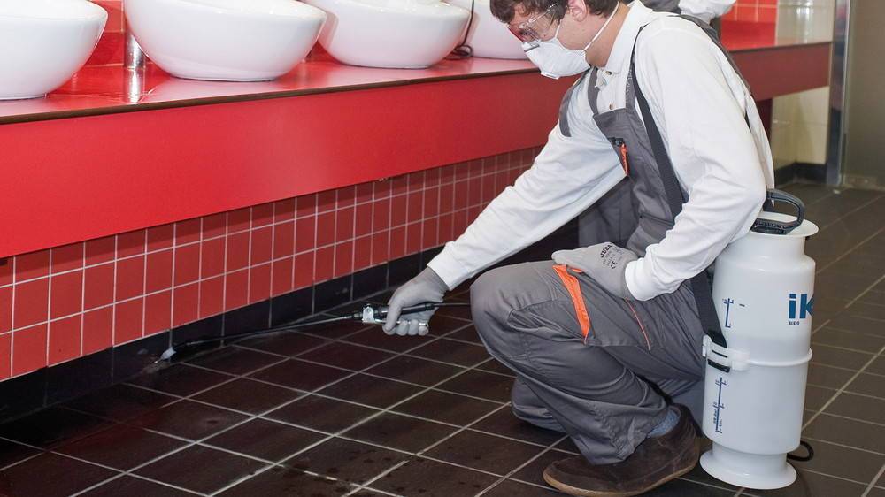 Ik Sprayers - Puvérisateur à pression préalable IK ALK 9 - alcalines, alcools et acétones IK Sprayers - Image 2