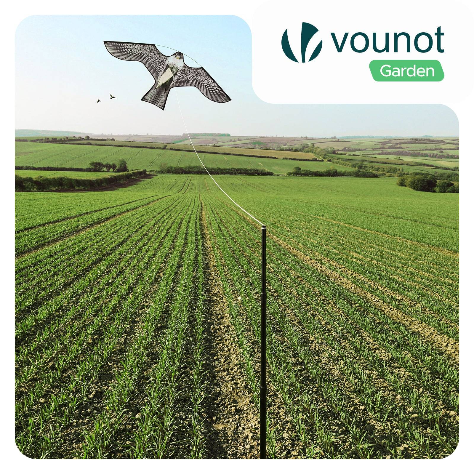 Cerf volant anti oiseaux effaroucheur avec mat Faucon modele A - Image 2