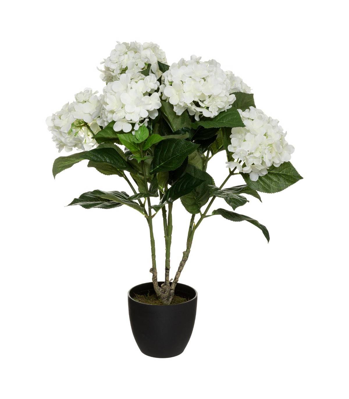 Plante artificielle Hortensia Blanc en pot H 60 cm - Image 1