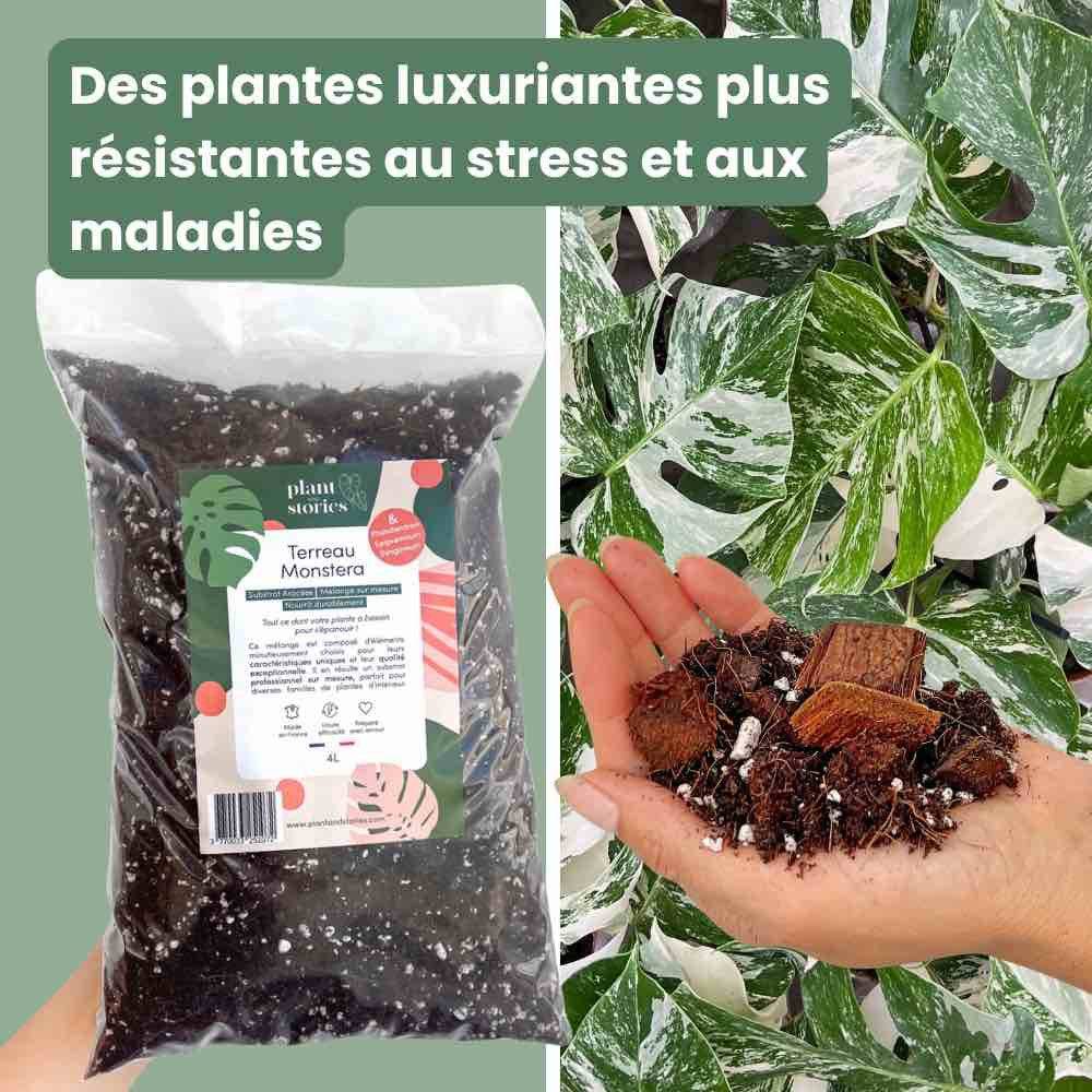 Terreau monstera - Enrichi en mycorhize et bacillus - Substrat Aracées - 10L - Terreau rempotage - Image 6