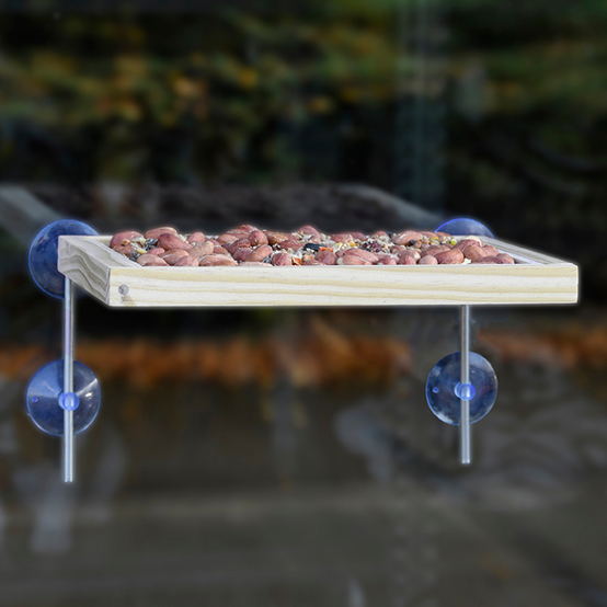 Esschert Design - Table alimentation oiseaux pour fenêtre - Esschert Design - Image 2