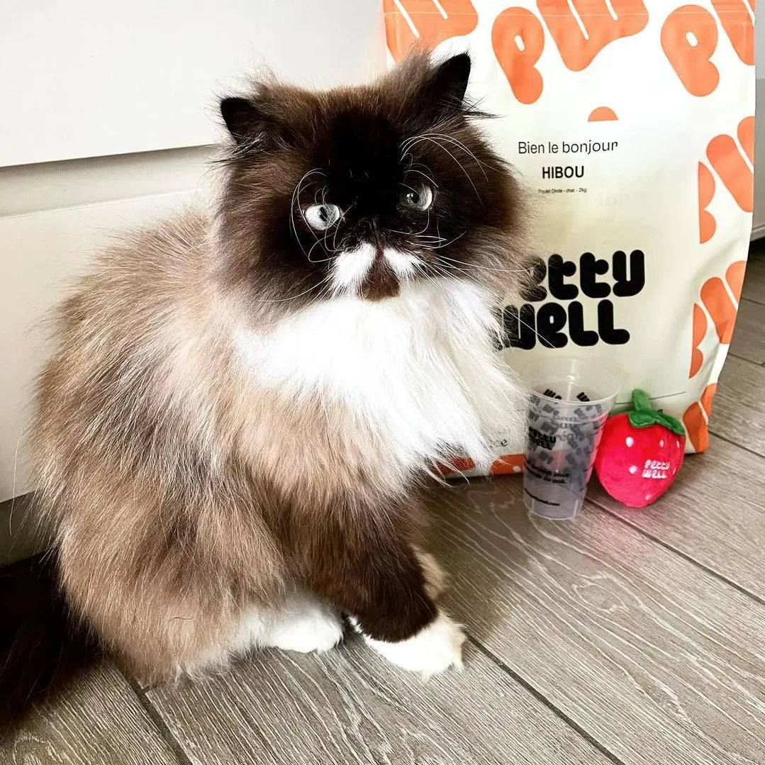 Petty Well - Croquettes Sans Céréales Poulet & Dinde pour Chat - Image 3