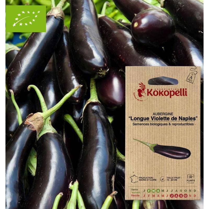 Aubergine Longue Violette de Naples- Graines bio à semer