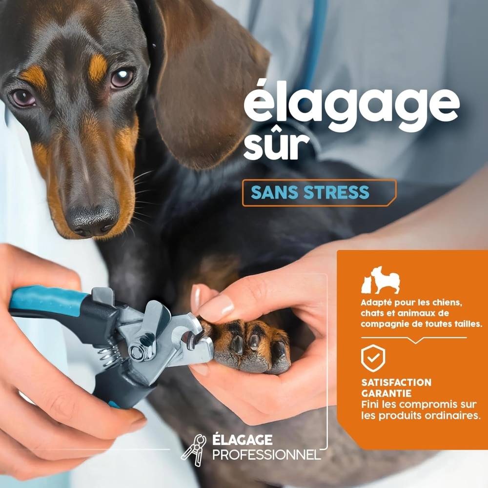 IntiMeg - Coupe-ongles pour chien bleu - IntiMeg - Image 6