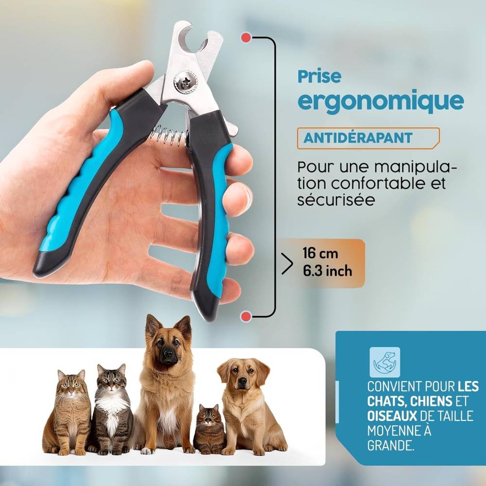 IntiMeg - Coupe-ongles pour chien bleu - IntiMeg - Image 4