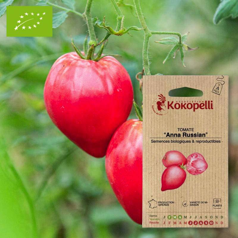 Graines bio à semer - Tomate Anna Russian- Association Kokopelli