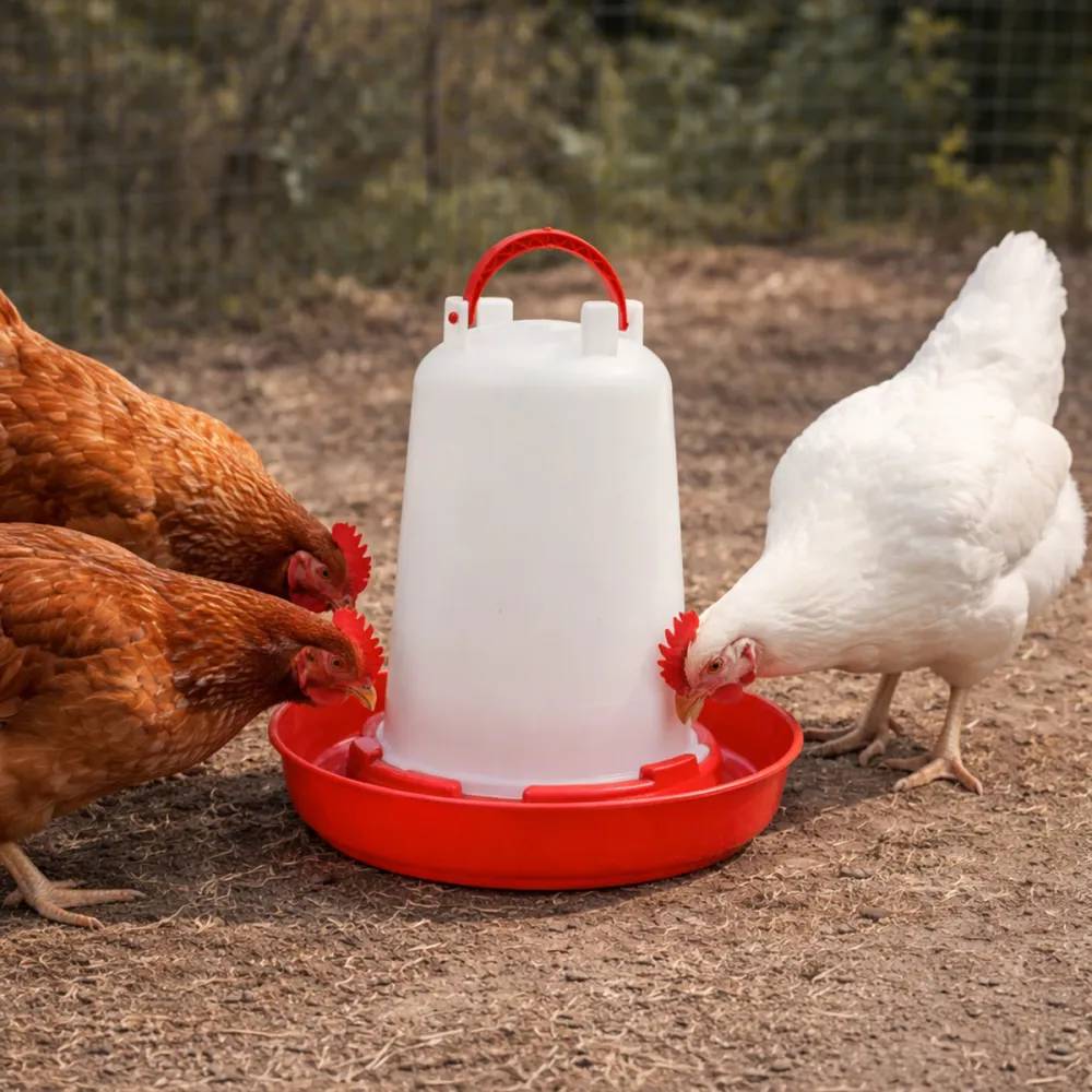 Olba - Abreuvoir plastique poule 1,5 L premium robuste avec poignée Olba - Image 1