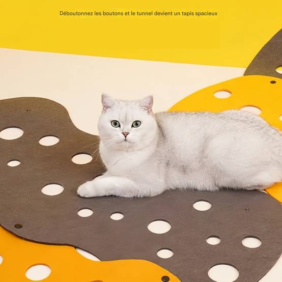 IntiMeg - Tunnel pour chat DIY Orange-gris 3 mm (65 x 30) IntiMeg - Image 9