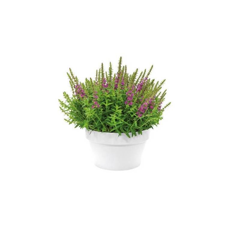 Elho - Elho Pot De Fleurs Loft Urban - Coupe 35 Cm - Bleu Vintage - Image 2