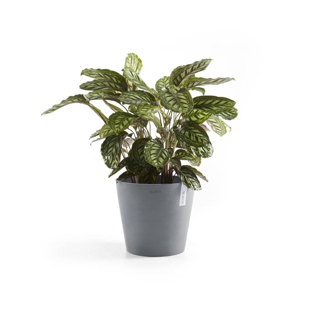 Ecopots - Pot Rond Amsterdam 30 Bleu Gris + réservoir d'eau - Ø 30 x H. 26,3 cm - 12,8 L ECOPOTS - Image 3