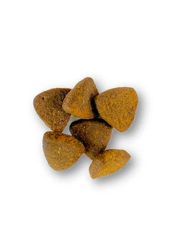 Croquettes chien adulte holistic sans céréales - Bœuf Angus - 12 Kg - Image 3