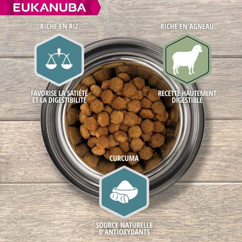 Eukanuba - CROQUETTES CHIEN ADULT LARGE AGNEAU - EUKANUBA 12 kg - Image 2