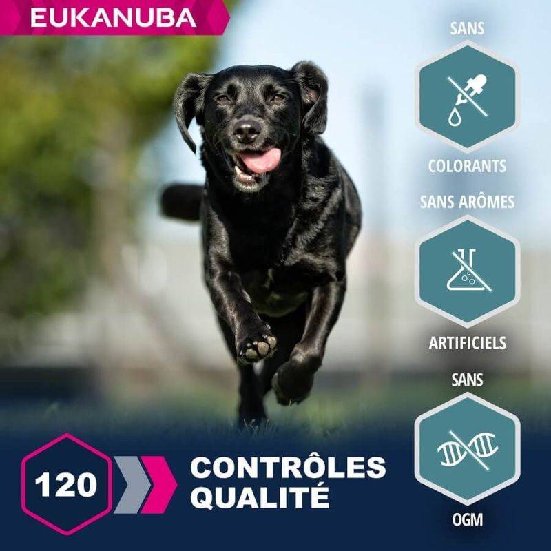Eukanuba - CROQUETTES CHIEN ADULT LARGE AGNEAU - EUKANUBA 12 kg - Image 3