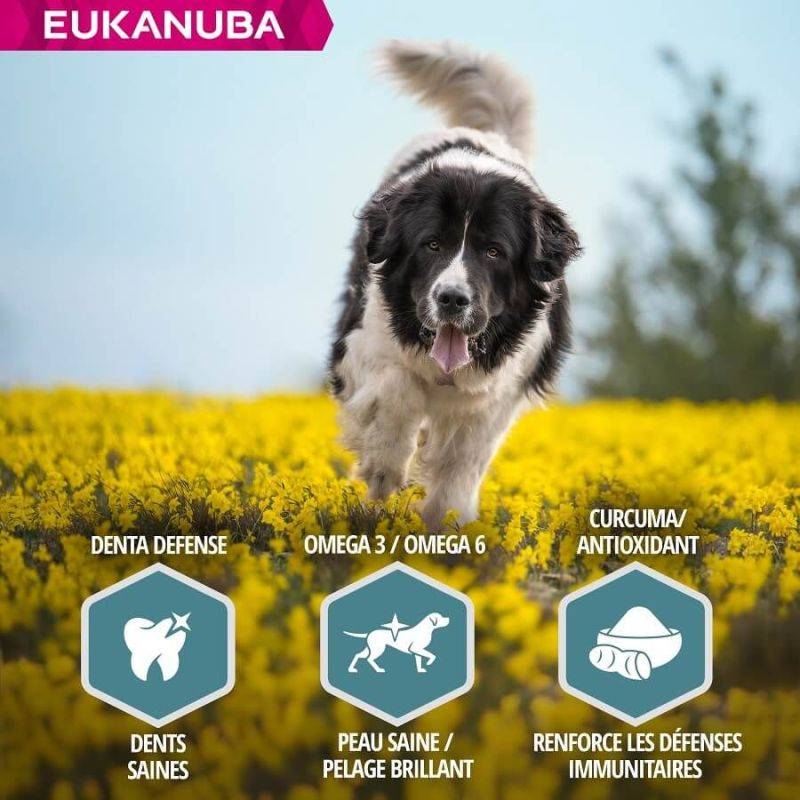 Eukanuba - CROQUETTES CHIEN ADULT LARGE AGNEAU - EUKANUBA 12 kg - Image 5