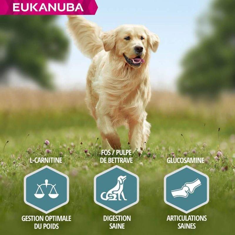 Eukanuba - CROQUETTES CHIEN ADULT LARGE AGNEAU - EUKANUBA 12 kg - Image 4