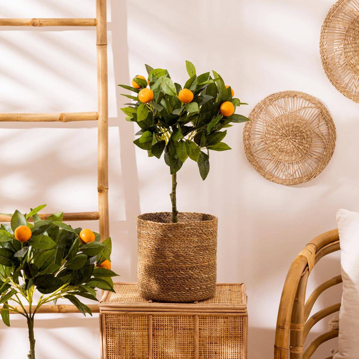 Set de 4 Paniers de rangement en Seagrass - Image 4