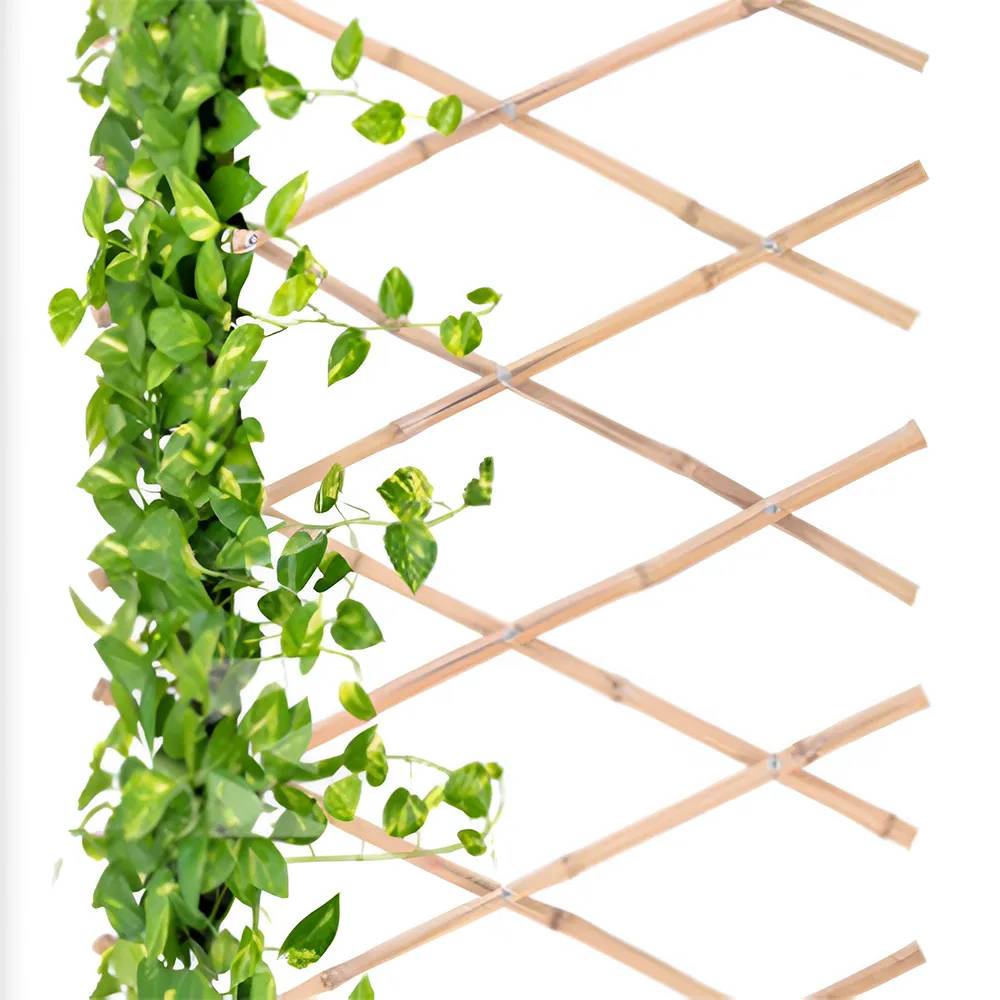 Autre - Treillis bambou 70 x 180 cm - Image 4