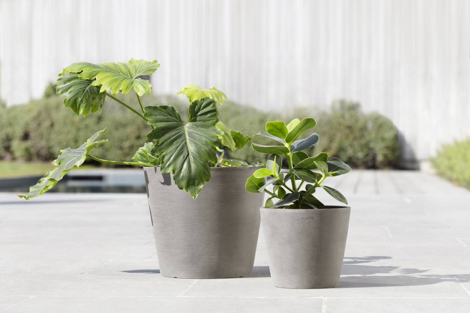 Ecopots - Pot Rond Amsterdam 20 Taupe - Ø 20 x H. 17,5 cm - 4 L ECOPOTS - Image 5