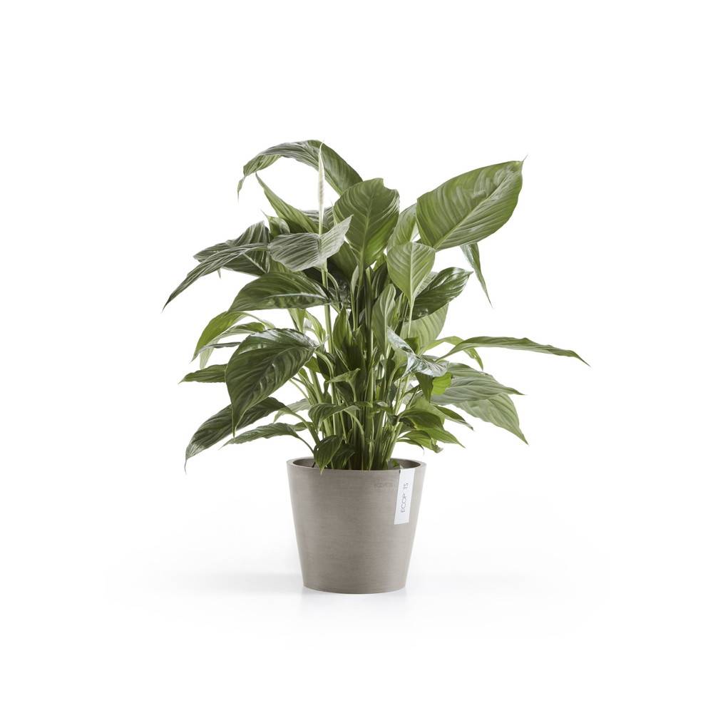 Ecopots - Pot Rond Amsterdam 20 Taupe - Ø 20 x H. 17,5 cm - 4 L ECOPOTS - Image 1
